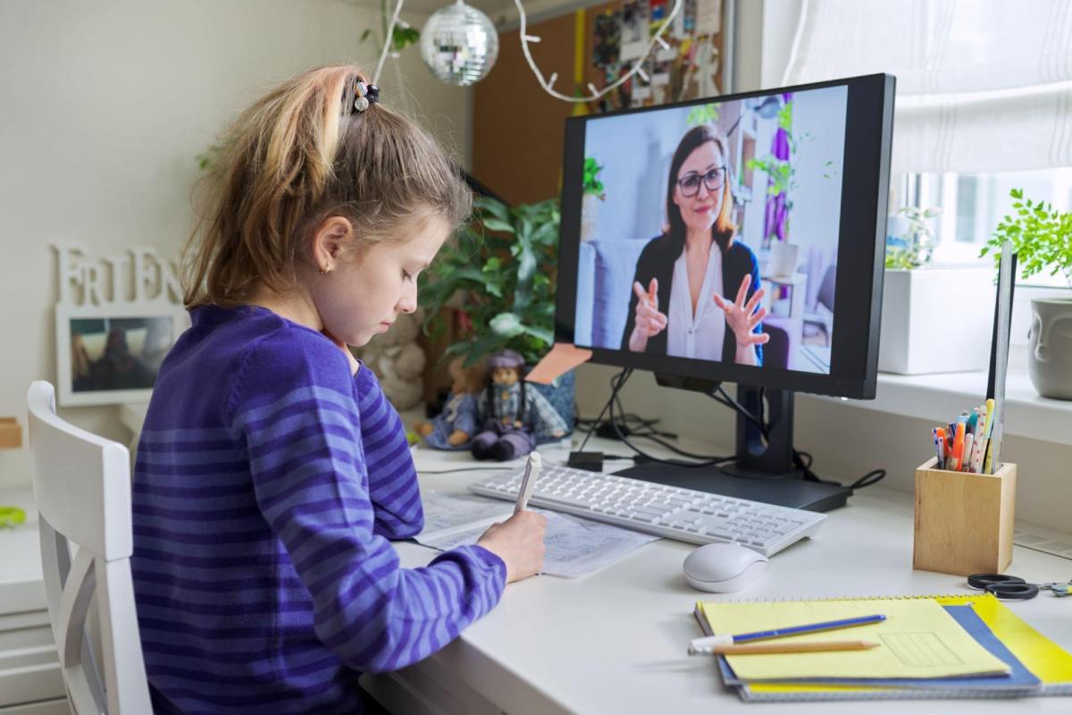 Advanced Features Of Online Tutoring Platforms - 2022
