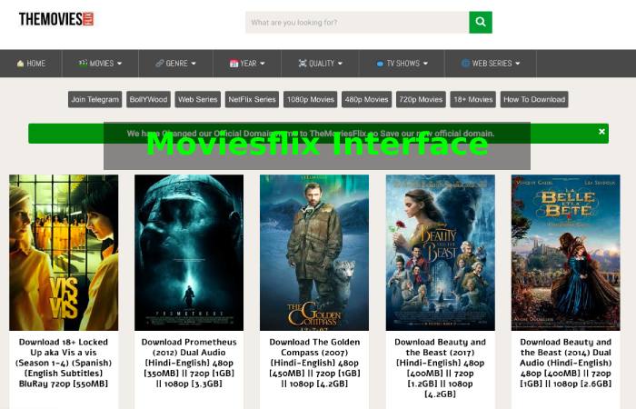 The Moviesflix Interface_ How to Navigate the Site and App