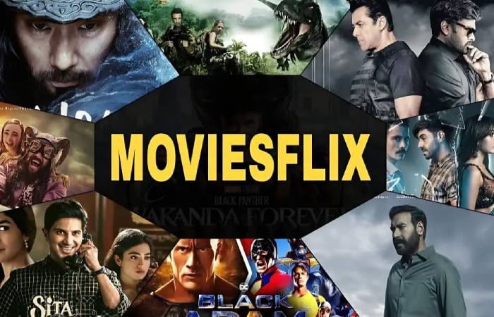 What Is Moviesflix_
