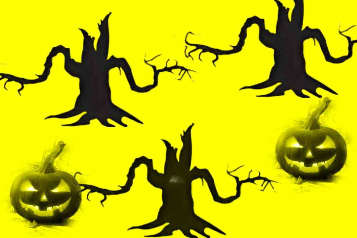 cute:exodha1rwac= halloween